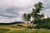 Kliknte pro zobrazen tto fotografie